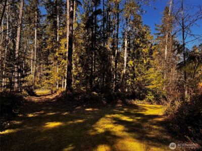 0 O'Brien Lot 1 Road , Port Angeles, WA 98362 - Photo 25