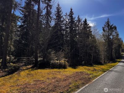 0 O'Brien Lot 1 Road , Port Angeles, WA 98362 - Photo 26