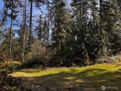 0 O'Brien Lot 1 Road , Port Angeles, WA 98362 - Photo 6