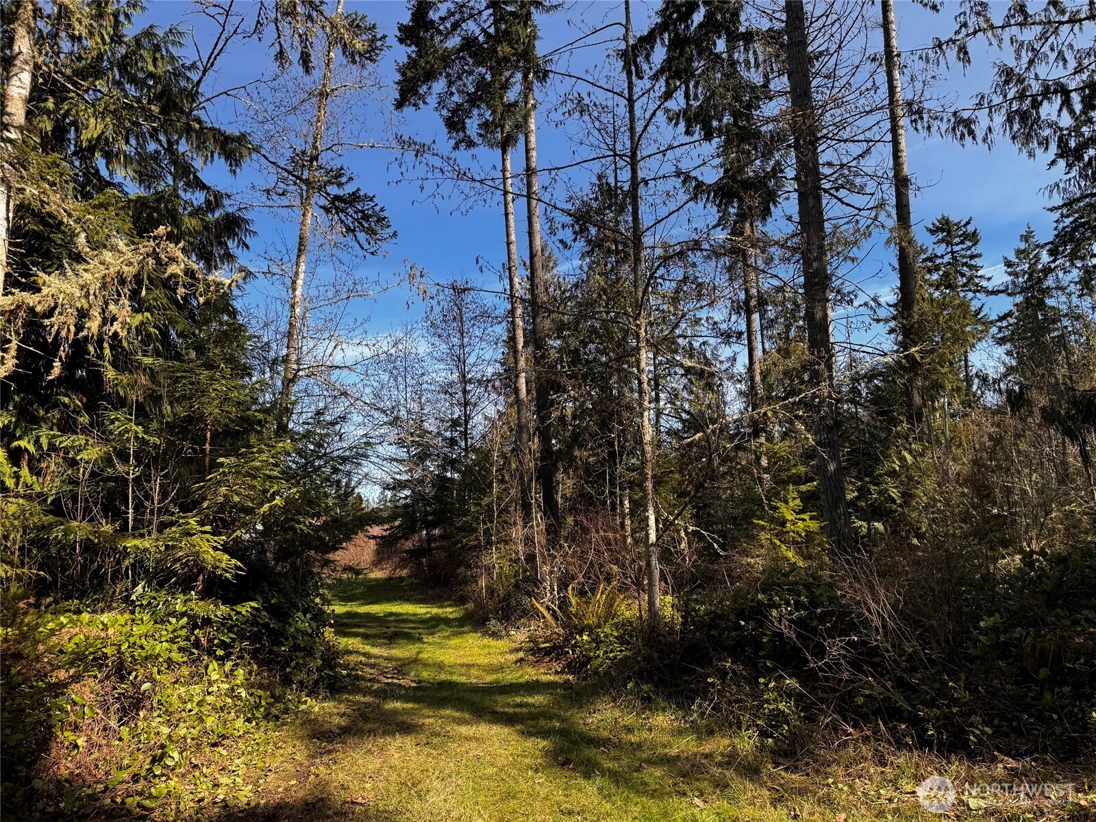 0 O'Brien Lot 1 Road , Port Angeles, WA 98362