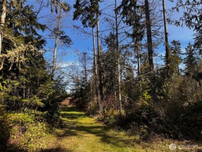 0 O'Brien Lot 1 Road , Port Angeles, WA 98362 - Photo 7