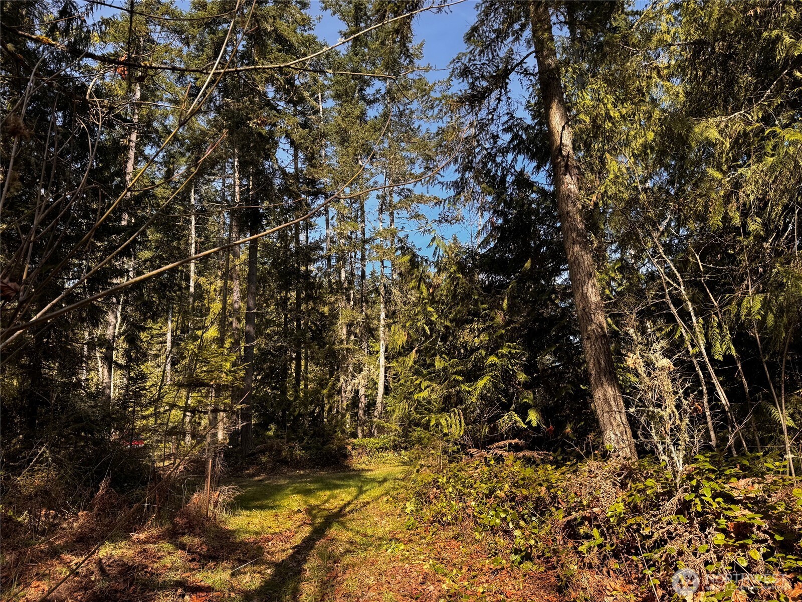 0 O'Brien Lot 1 Road , Port Angeles, WA 98362