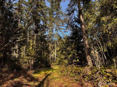 0 O'Brien Lot 1 Road , Port Angeles, WA 98362 - Photo 8