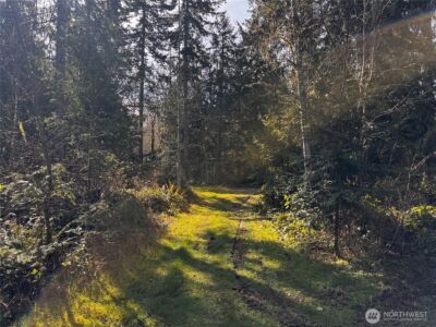 0 O'Brien Lot 1 Road , Port Angeles, WA 98362 - Photo 9