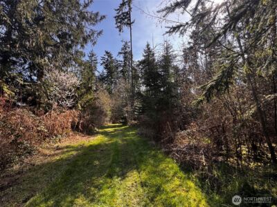 0 O'Brien Lot 1 Road , Port Angeles, WA 98362 - Photo 10