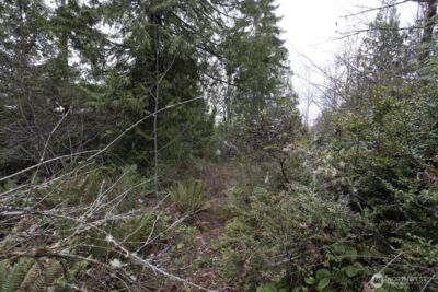 0 Clear Creek Road NW, Silverdale, WA 98383 - Photo 14