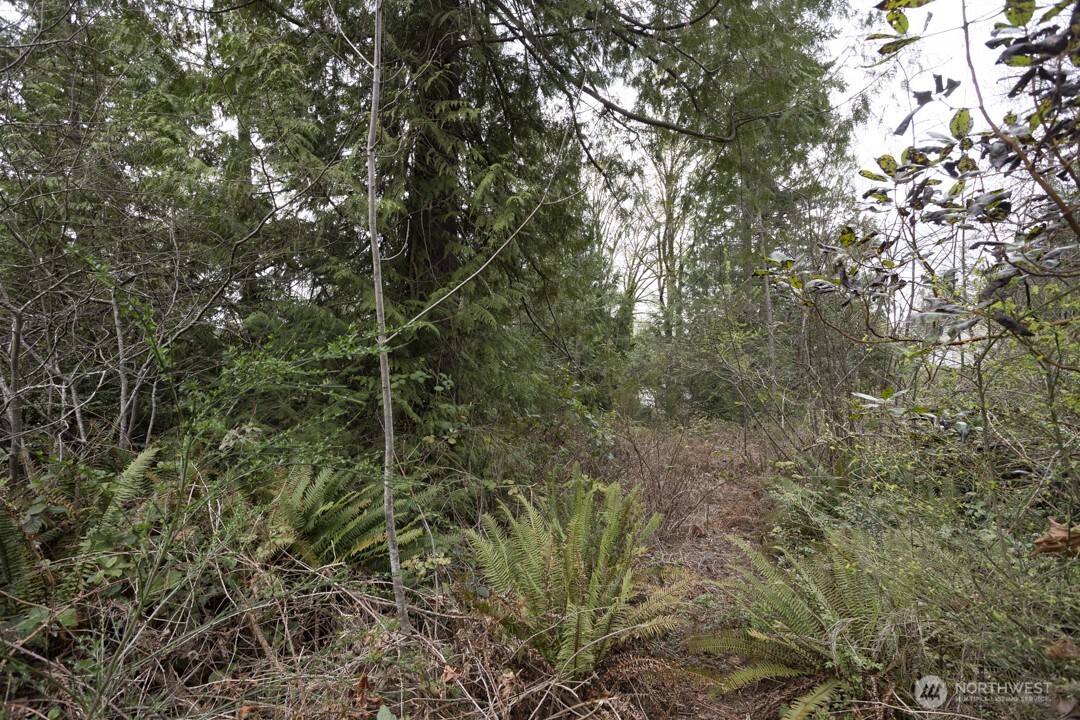 0 Clear Creek Road NW, Silverdale, WA 98383