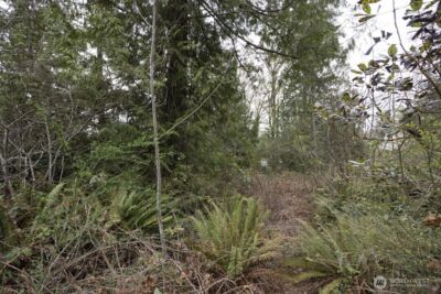 0 Clear Creek Road NW, Silverdale, WA 98383 - Photo 15