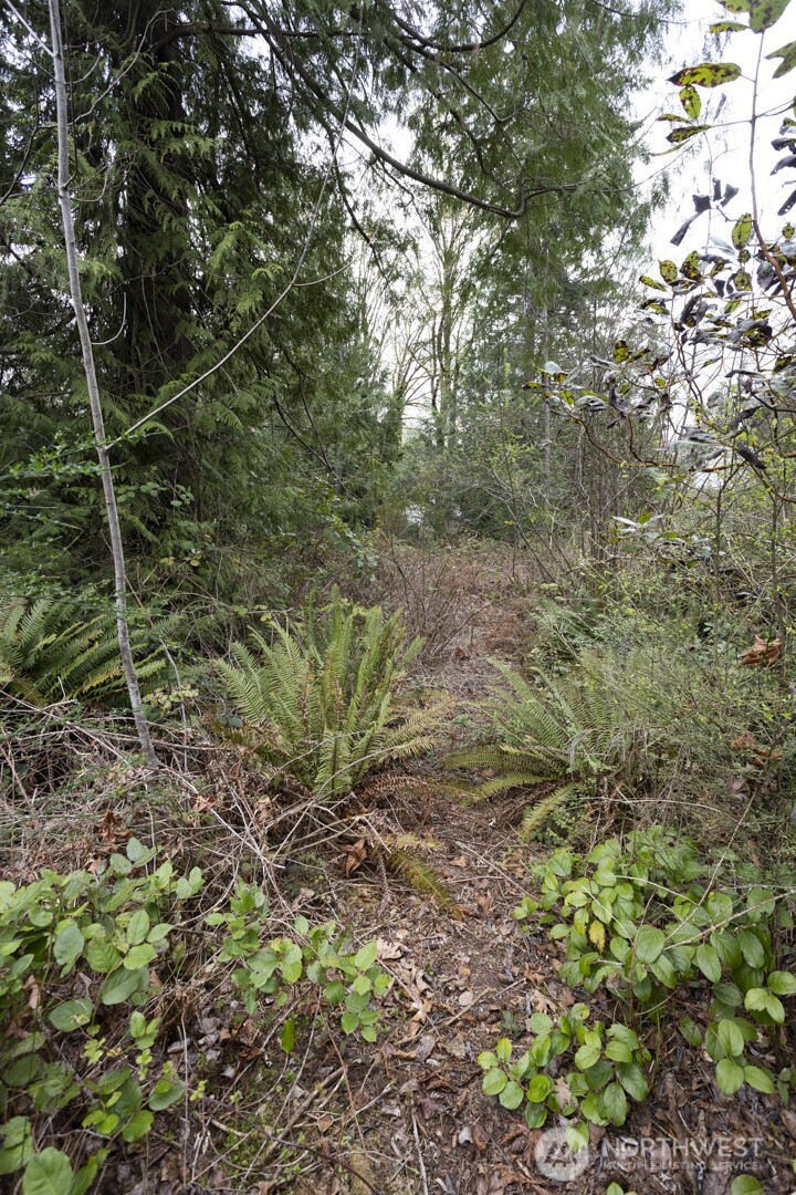 0 Clear Creek Road NW, Silverdale, WA 98383