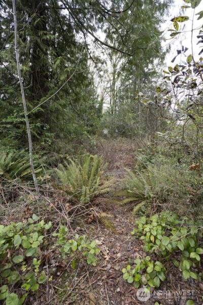 0 Clear Creek Road NW, Silverdale, WA 98383 - Photo 16