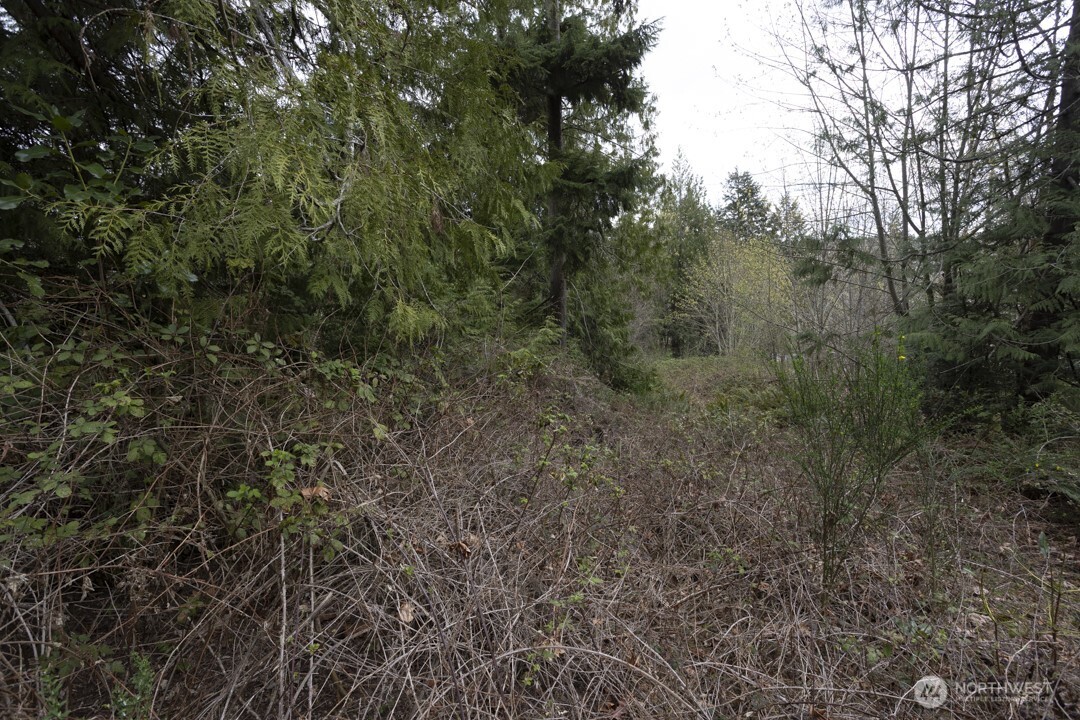 0 Clear Creek Road NW, Silverdale, WA 98383