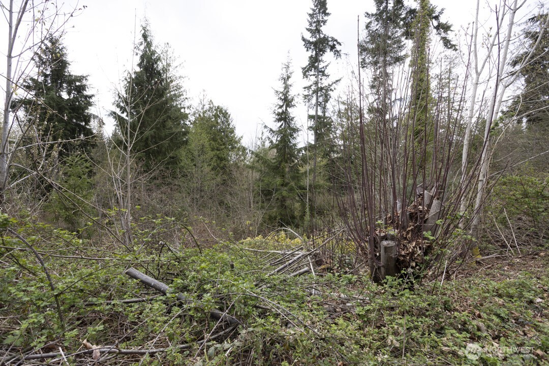 0 Clear Creek Road NW, Silverdale, WA 98383
