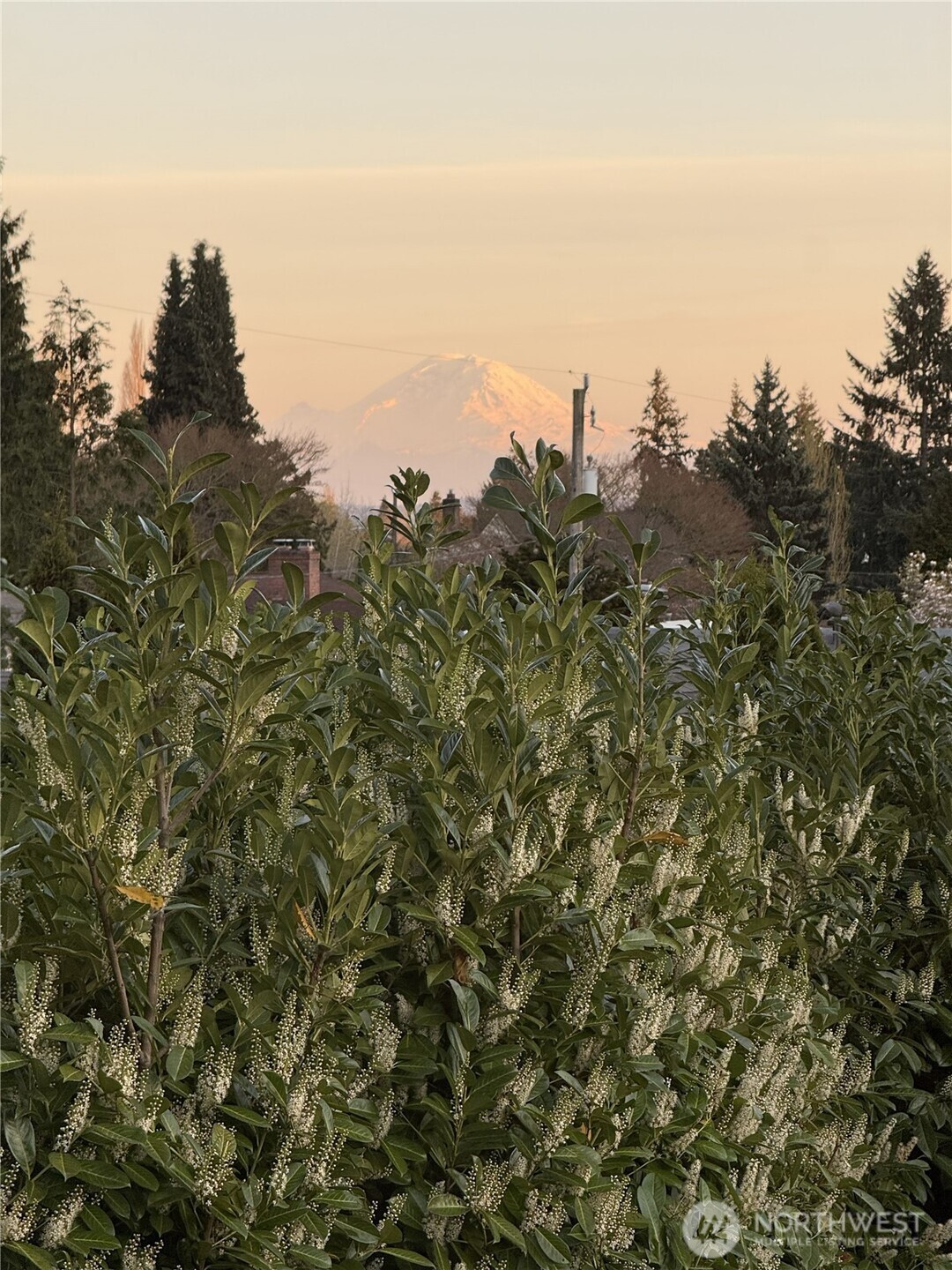 3813 NE 70th Street , Seattle, WA 98115