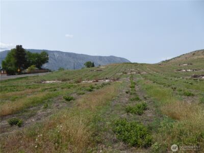 5 Roses View Lane , Manson, WA 98831