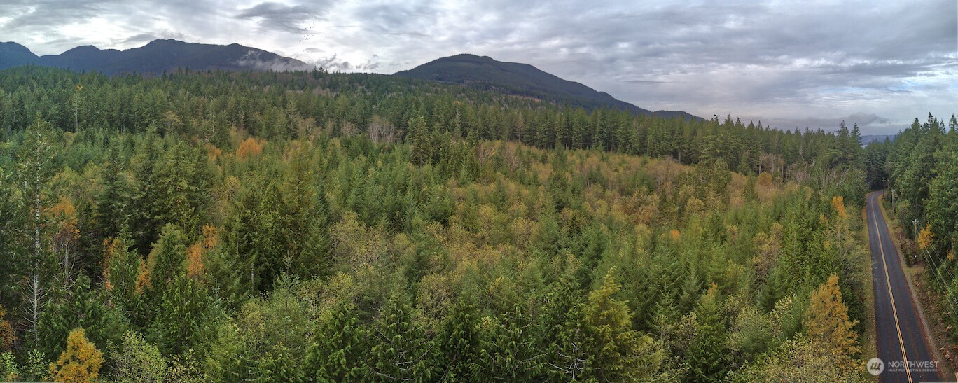 50 x Point Whitney Road , Brinnon, WA 98320