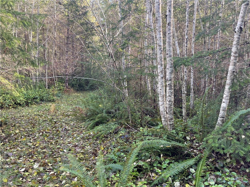 50 x Point Whitney Road , Brinnon, WA 98320