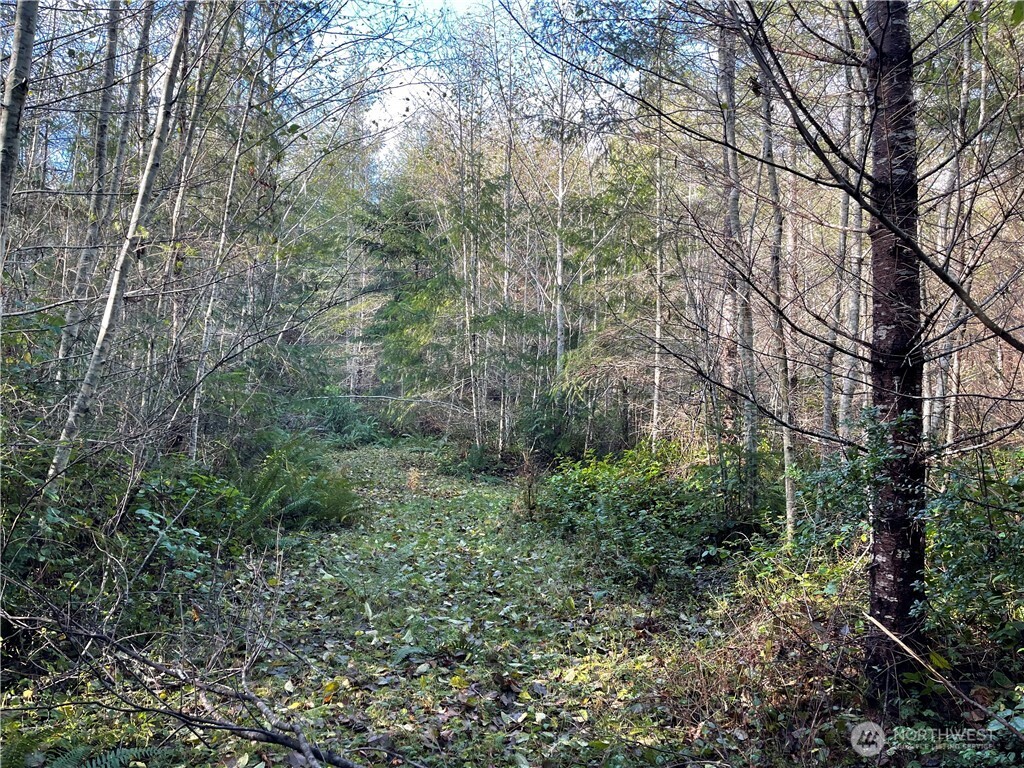 50 x Point Whitney Road , Brinnon, WA 98320