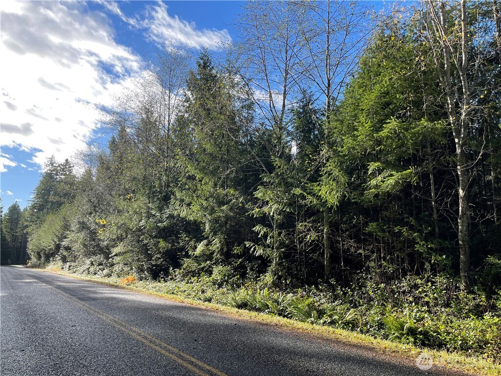 50 x Point Whitney Road , Brinnon, WA 98320