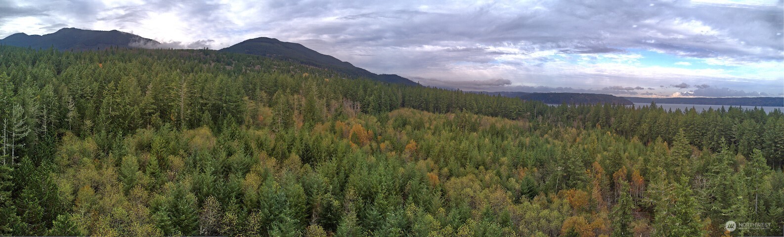 50 x Point Whitney Road , Brinnon, WA 98320