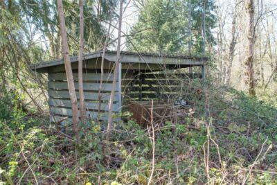 26013 Old Owen Road , Monroe, WA 98272-9069 - Photo 26