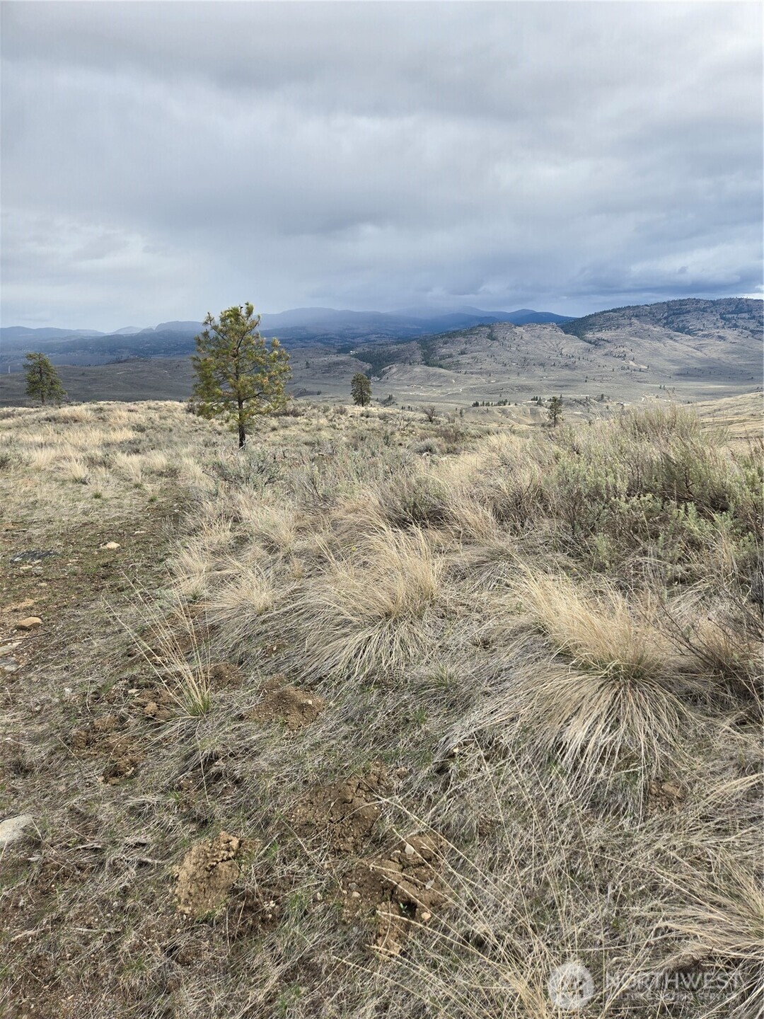 0 TBD Twin Springs Road , Tonasket, WA 98855
