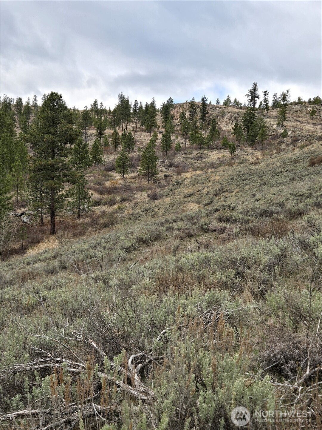 0 TBD Twin Springs Road , Tonasket, WA 98855
