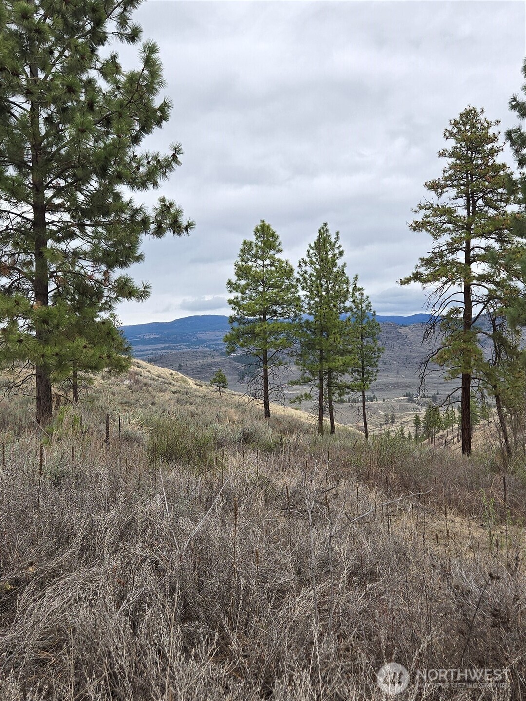 0 TBD Twin Springs Road , Tonasket, WA 98855