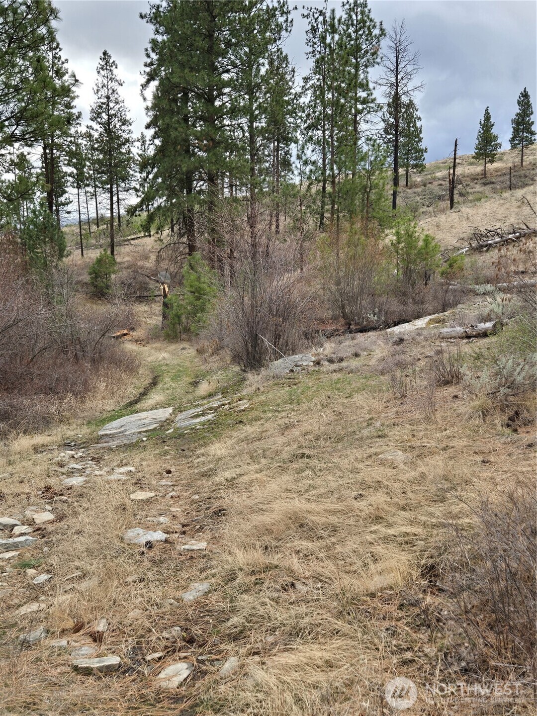 0 TBD Twin Springs Road , Tonasket, WA 98855