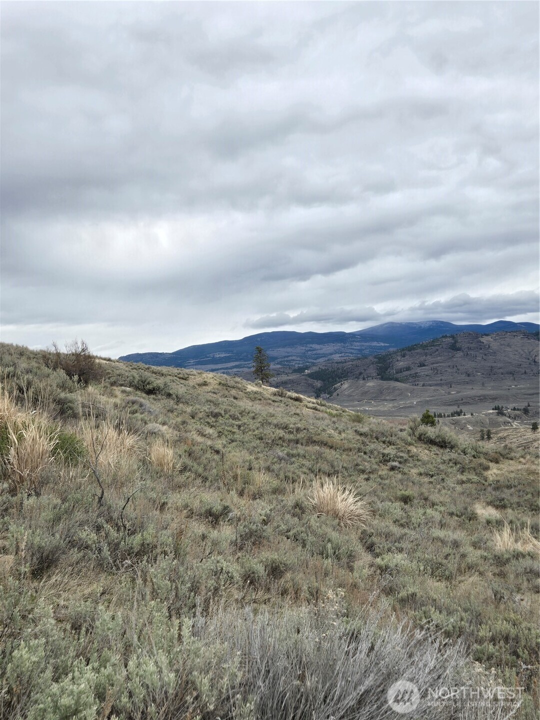 0 TBD Twin Springs Road , Tonasket, WA 98855