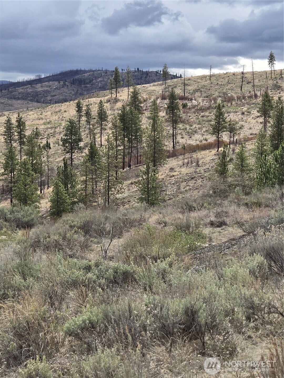 0 TBD Twin Springs Road , Tonasket, WA 98855