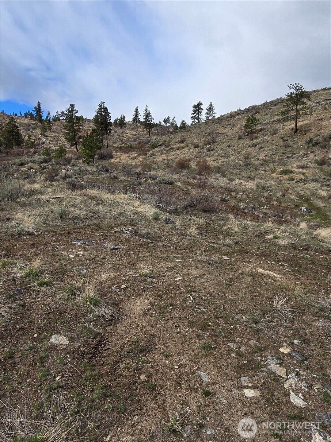 0 TBD Twin Springs Road , Tonasket, WA 98855