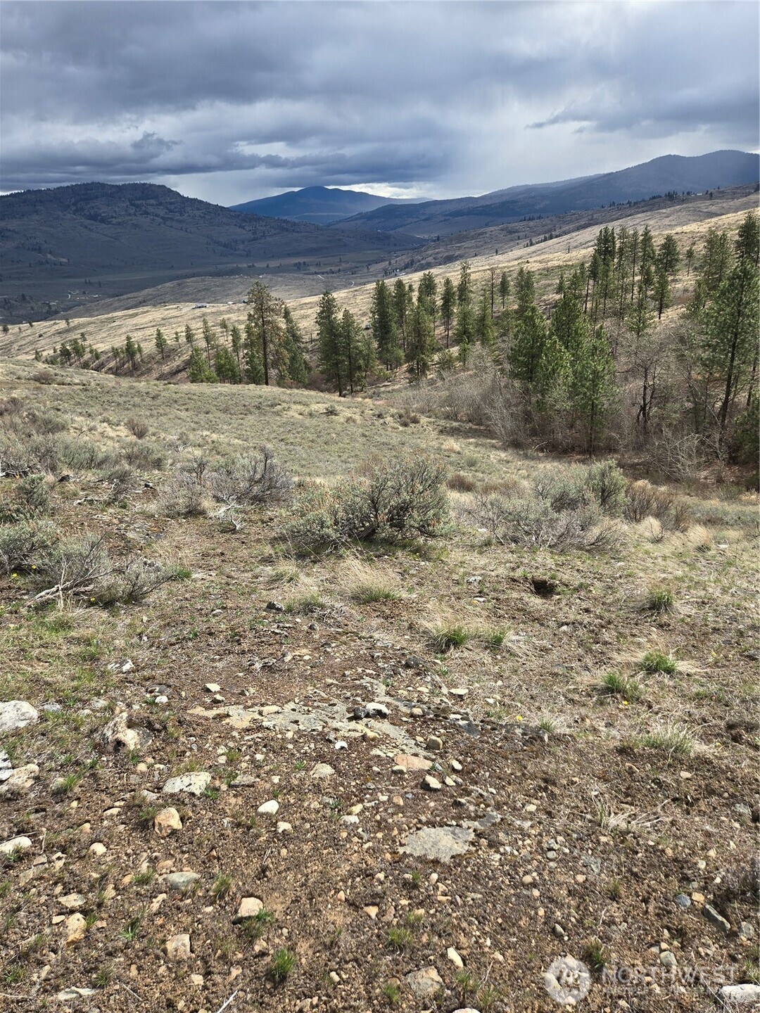 0 TBD Twin Springs Road , Tonasket, WA 98855