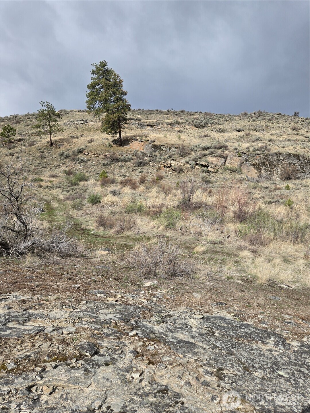 0 TBD Twin Springs Road , Tonasket, WA 98855