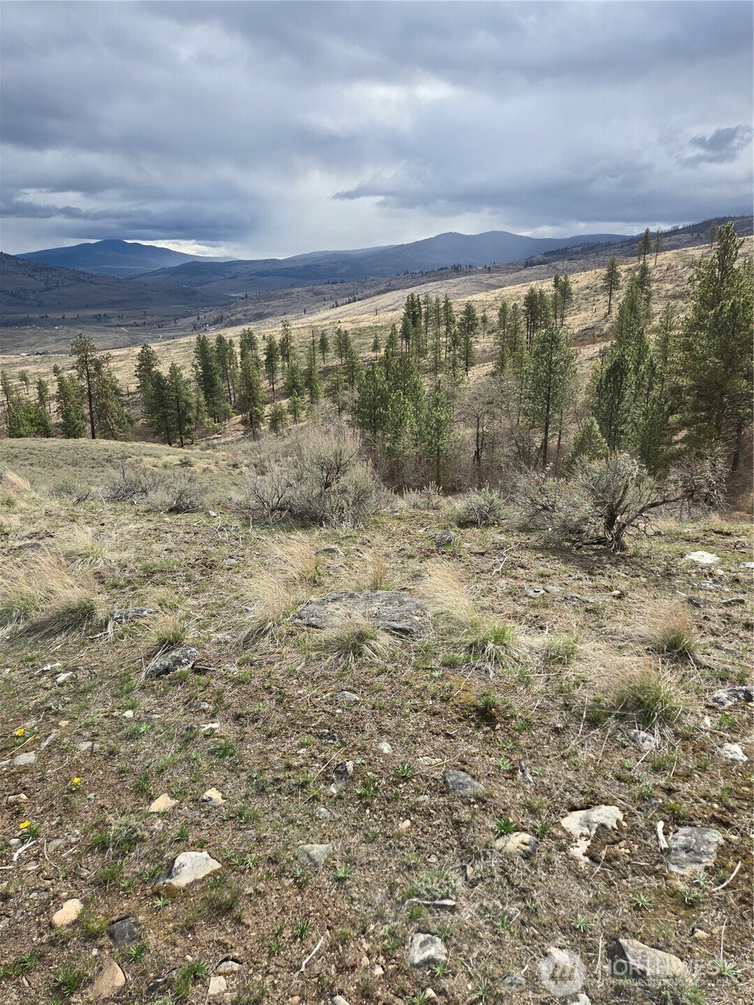 0 TBD Twin Springs Road , Tonasket, WA 98855