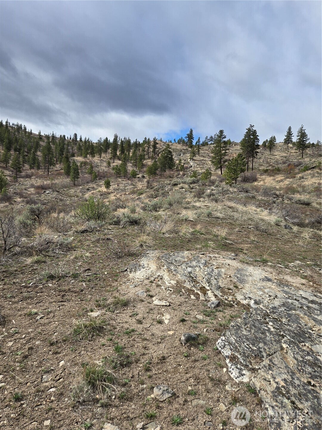 0 TBD Twin Springs Road , Tonasket, WA 98855
