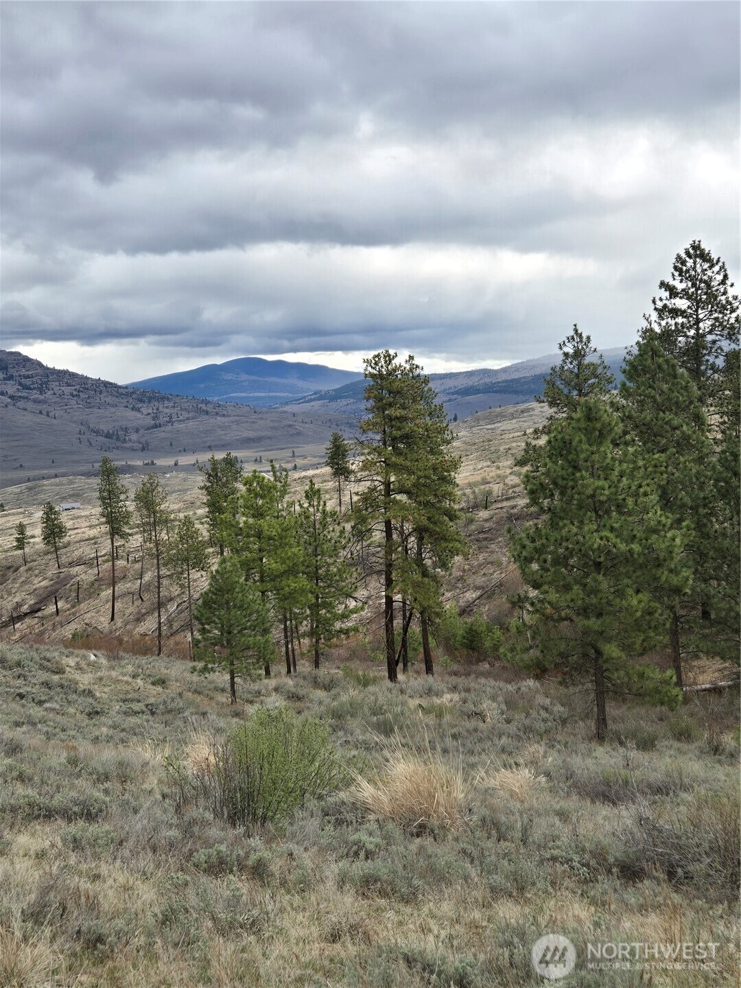 0 TBD Twin Springs Road , Tonasket, WA 98855