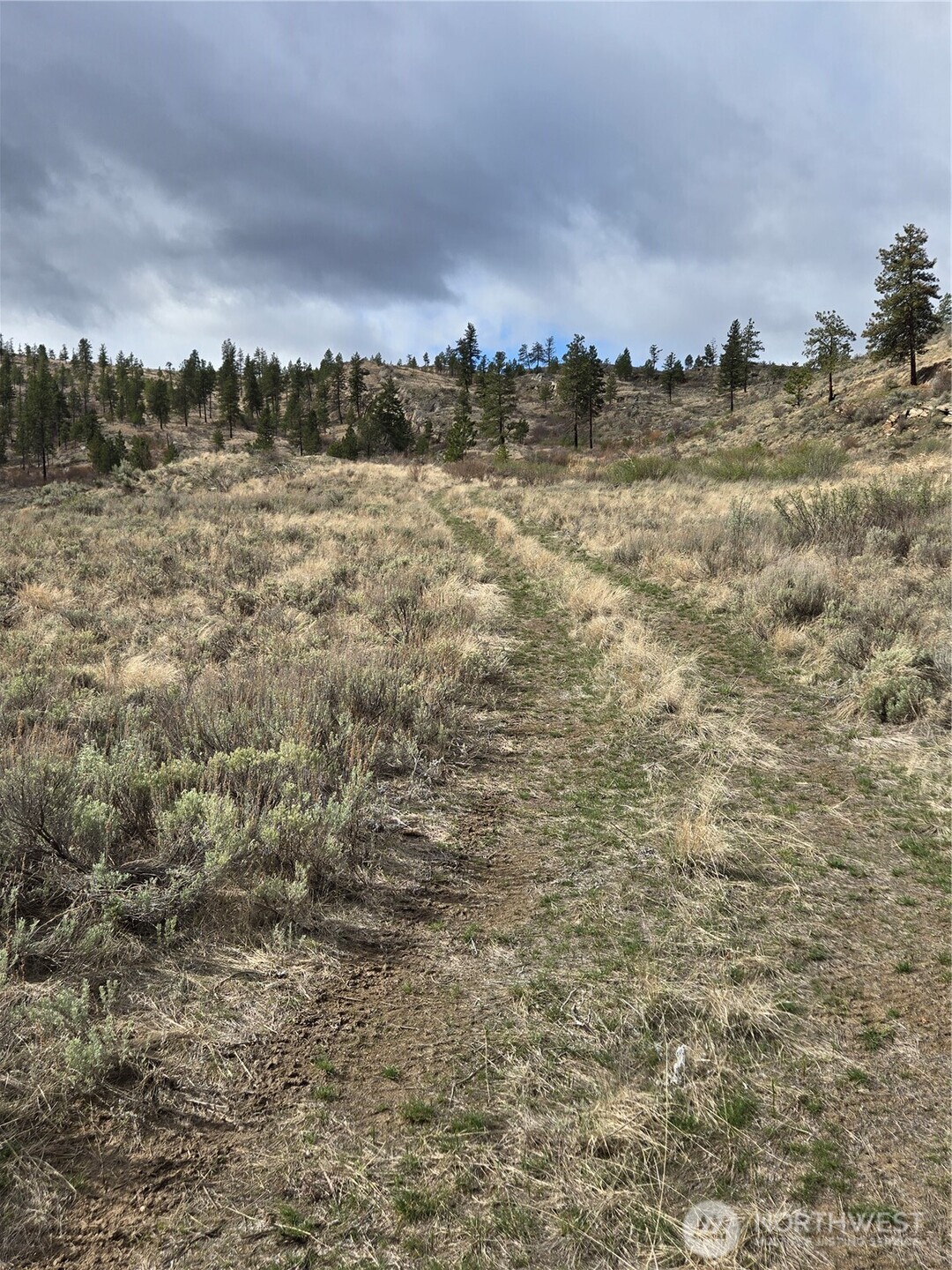 0 TBD Twin Springs Road , Tonasket, WA 98855