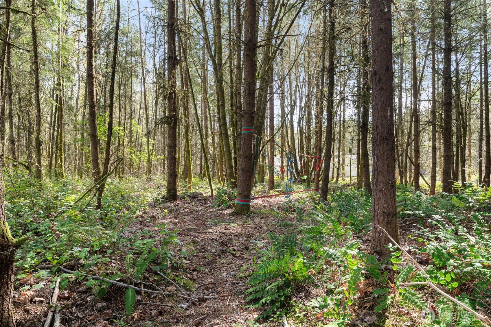 14229 Rainier View Drive SE, Yelm, WA 98597-6722