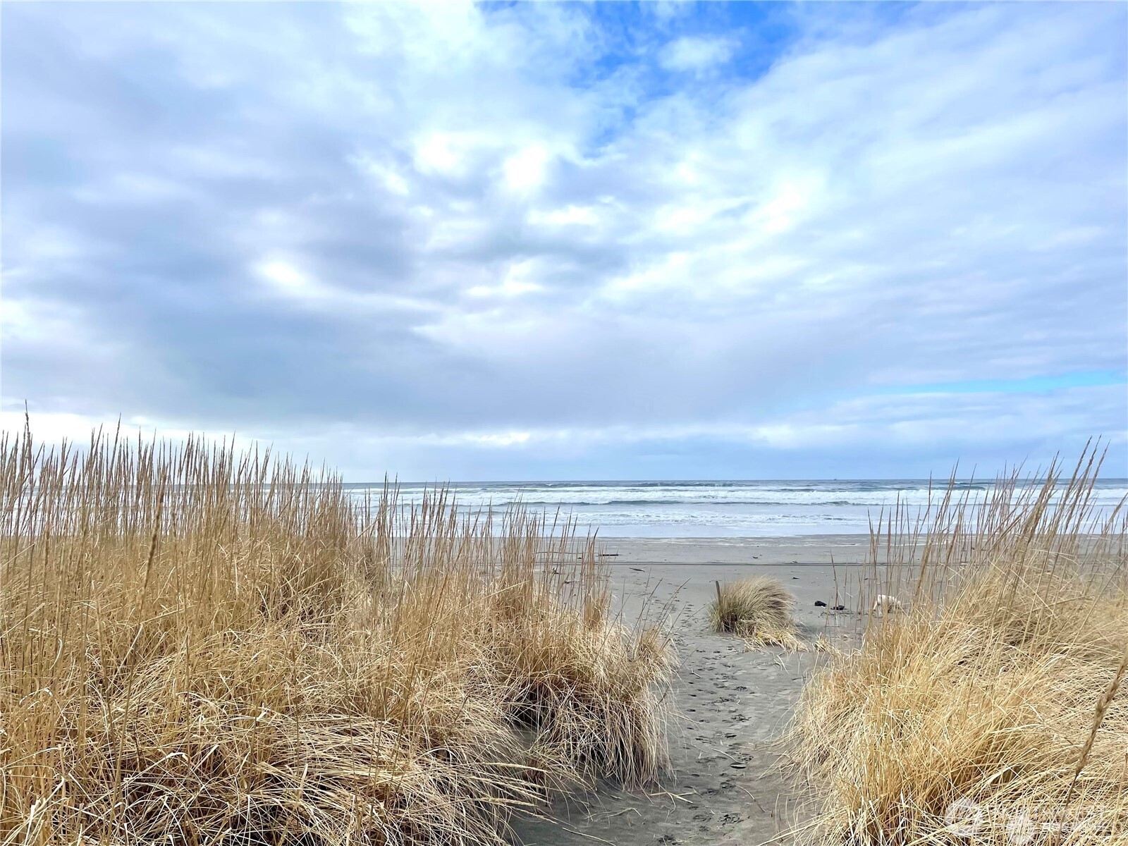 23800 J Place , Ocean Park, WA 98640