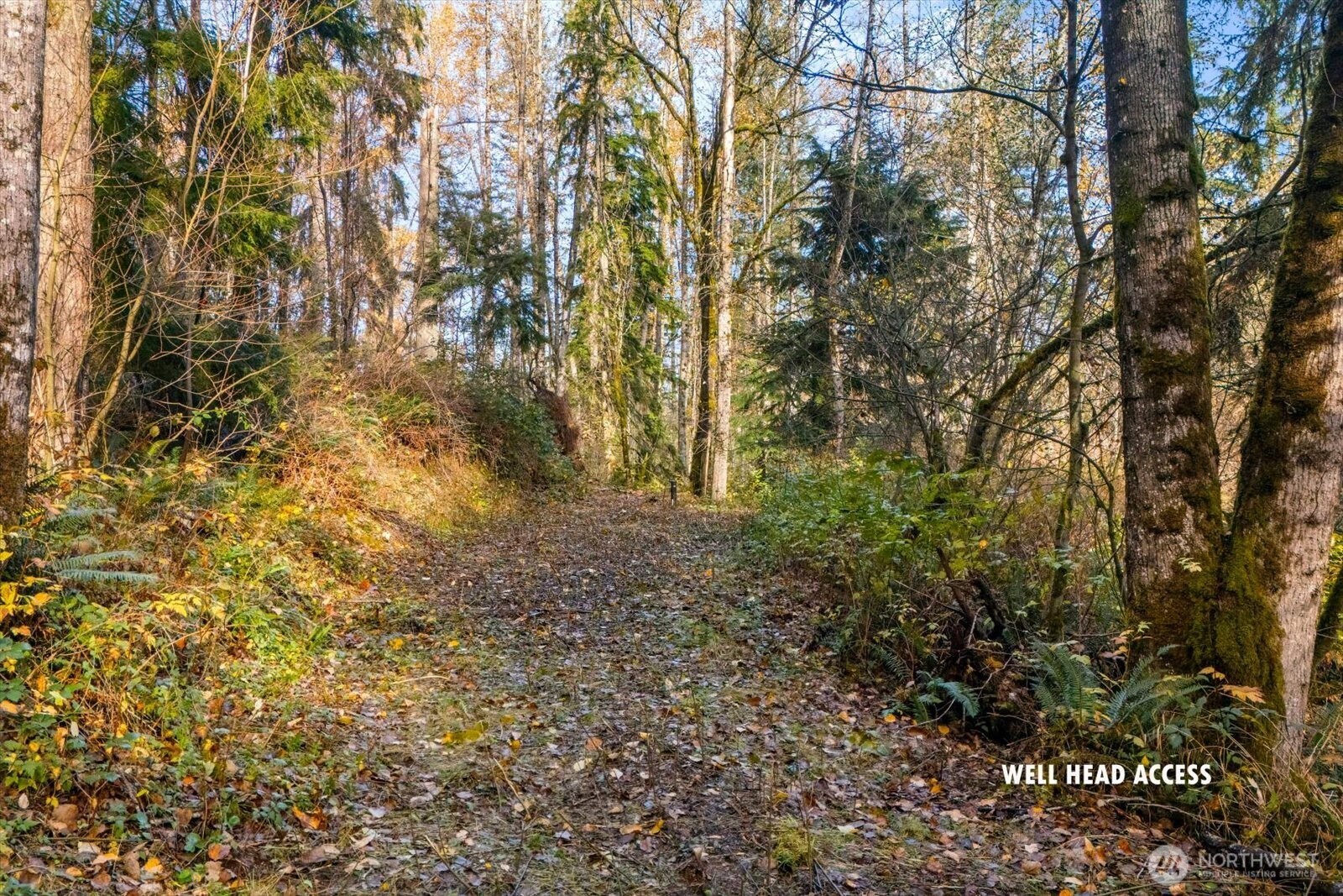 15 xxx Brookside Place , Snohomish, WA 98290