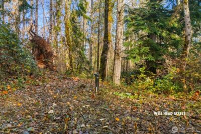 15 xxx Brookside Place , Snohomish, WA 98290 - Photo 3