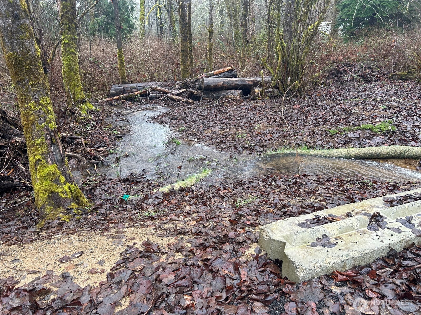 5214 Lerch Road , Snohomish, WA 98290