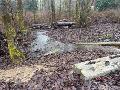 5214 Lerch Road , Snohomish, WA 98290 - Photo 3