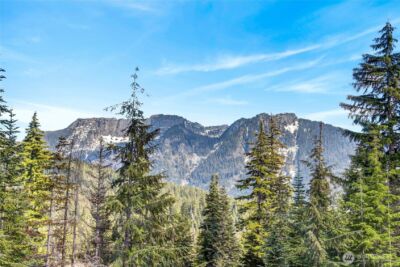 60 Snoqualmie Village Dr , Snoqualmie Pass, WA 98068 - Photo 3
