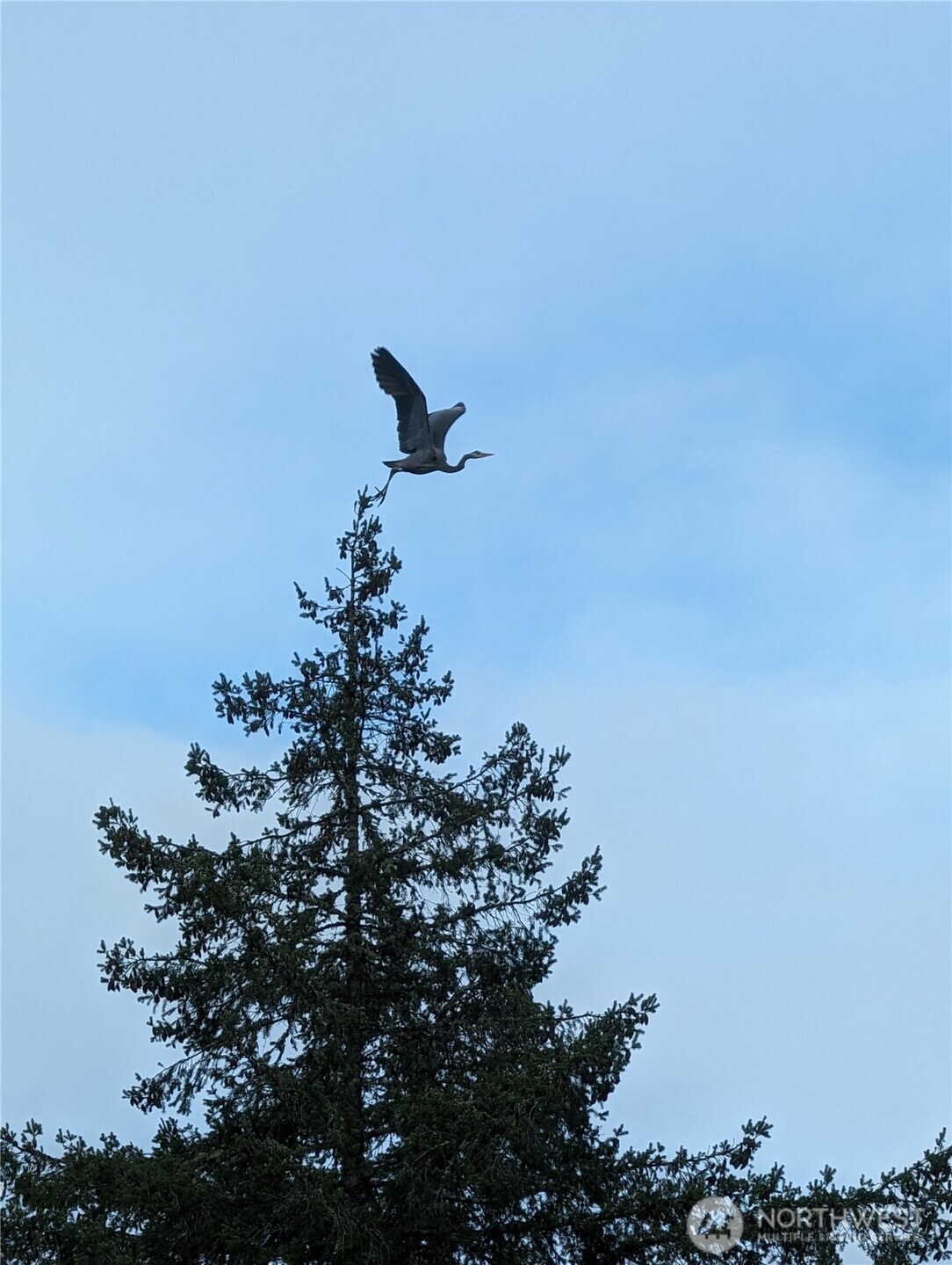 2142 Island Drive NW, Olympia, WA 98502-9711