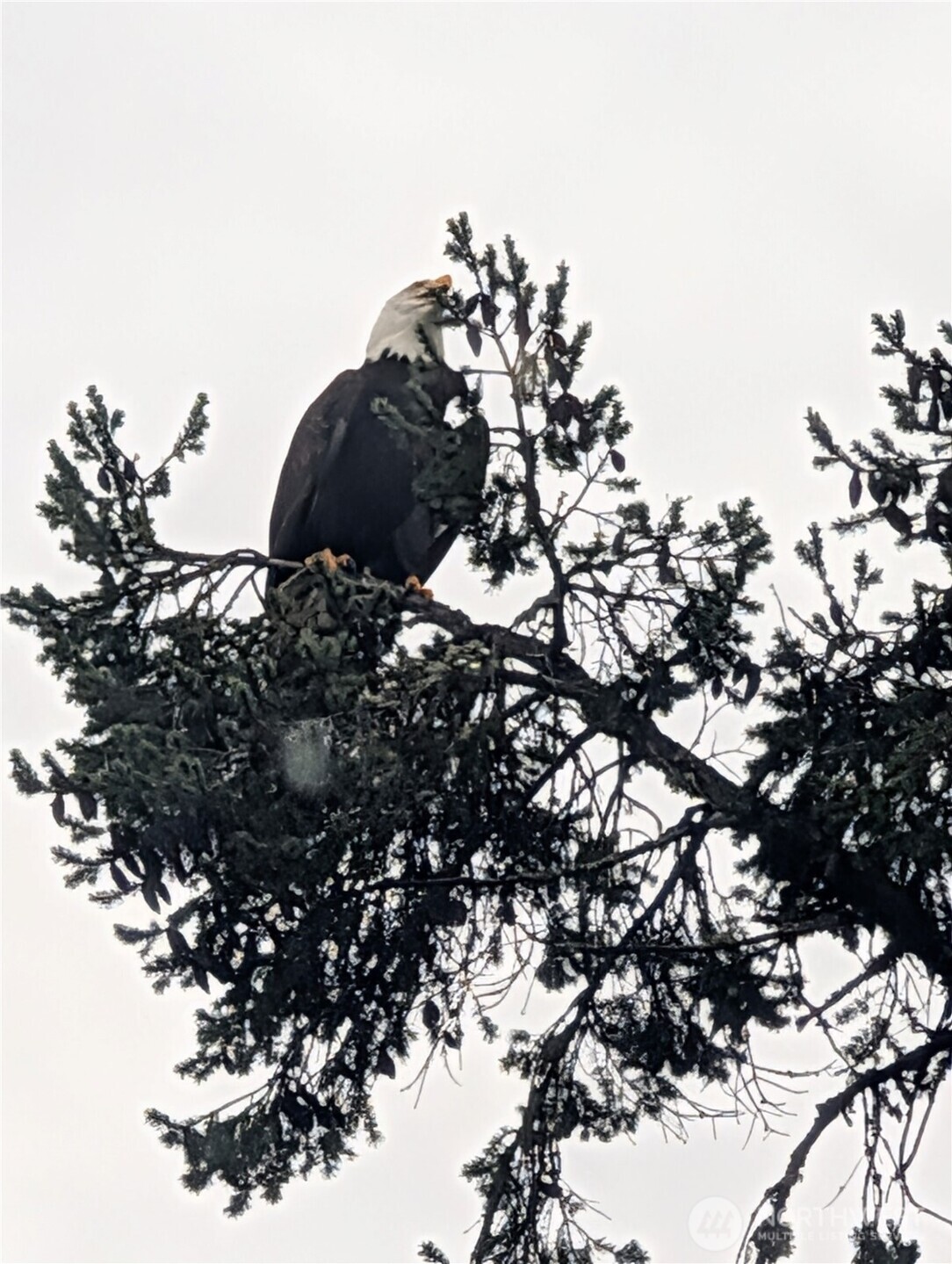 2142 Island Drive NW, Olympia, WA 98502-9711