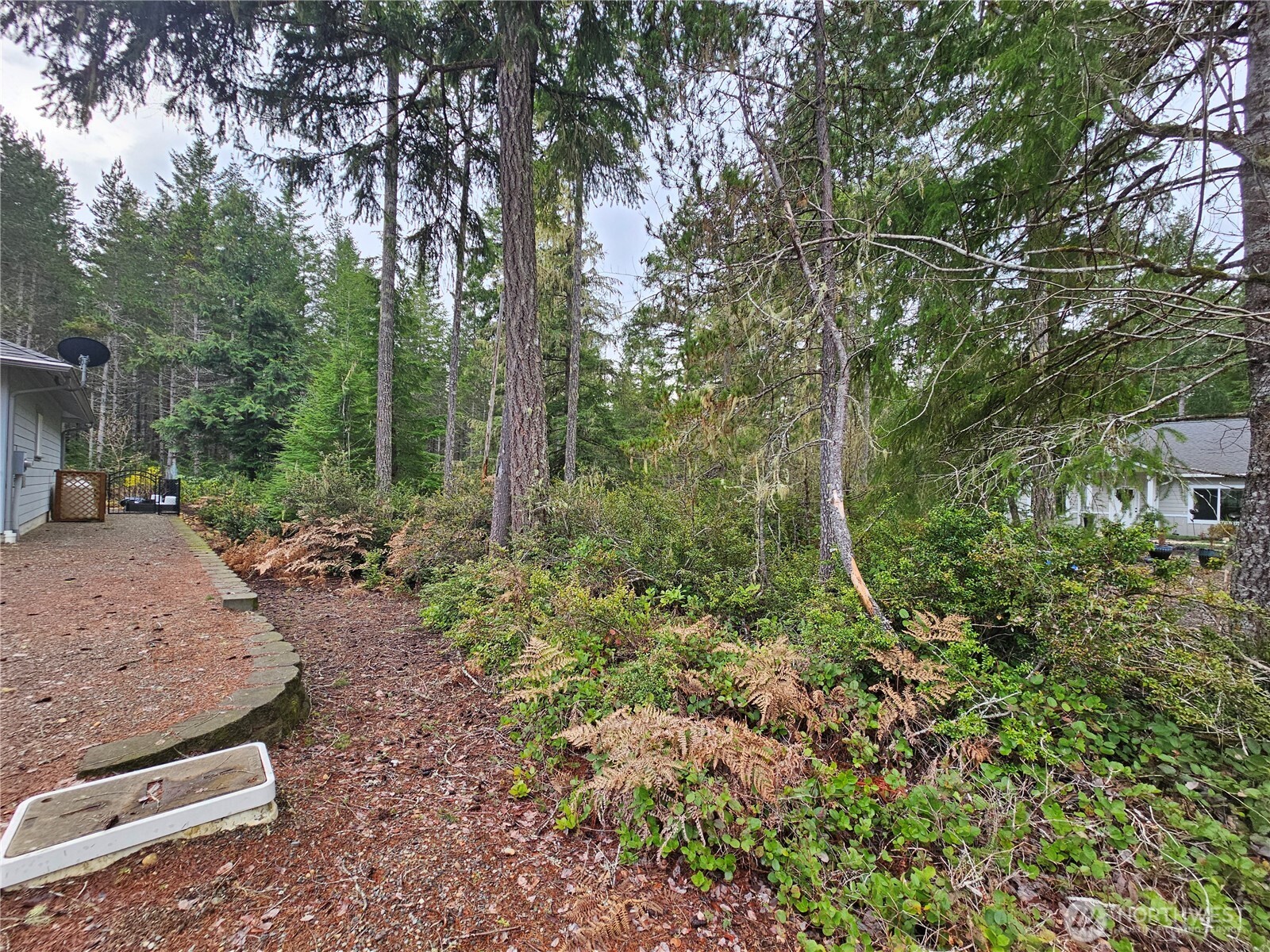 231 E Blackberry Lane , Union, WA 98592