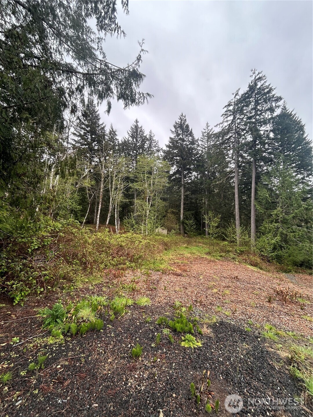 2201 Westwind Dr NW , Olympia, WA 98502