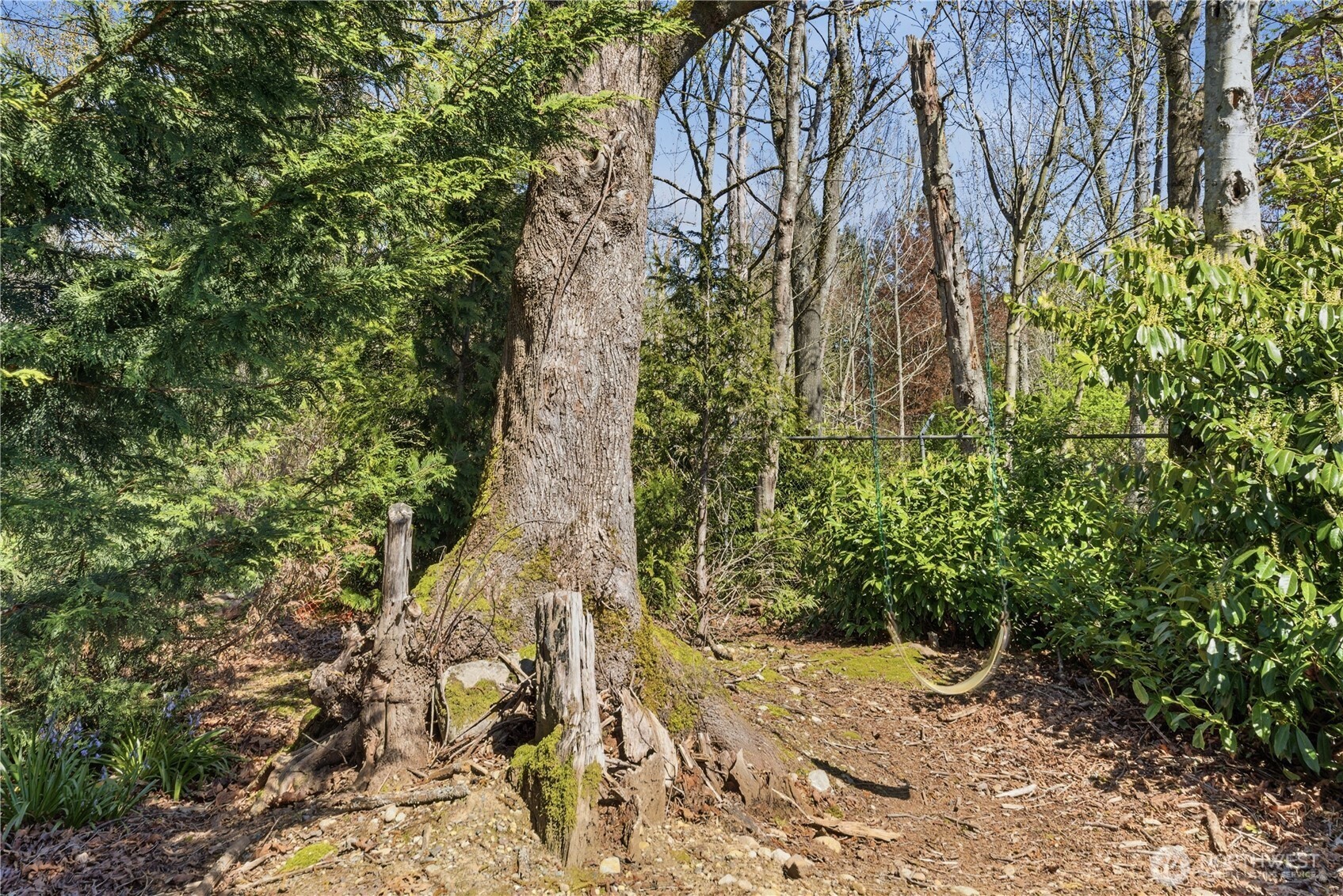 29 232nd PL SW, Bothell, WA 98021