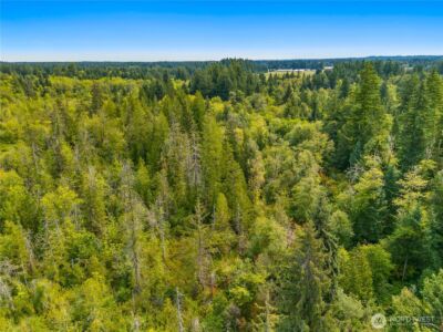 0 93rd Avenue SW, Olympia, WA 98512 - Photo 11